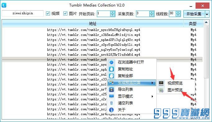 TumblrԴɼ Tumblr Medias Collection 2.0